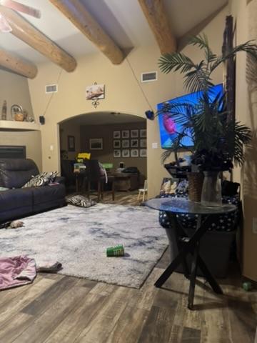 Living room before cleanup, first view