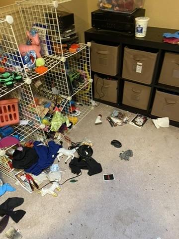 Loft before cleanup, first view