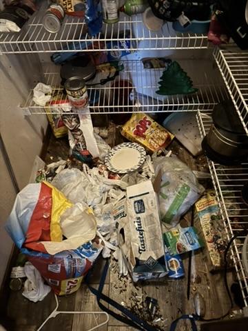 Pantry before cleanup